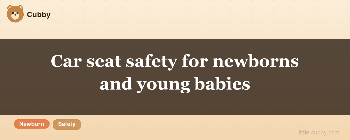 Car seat safety for newborns and young babies