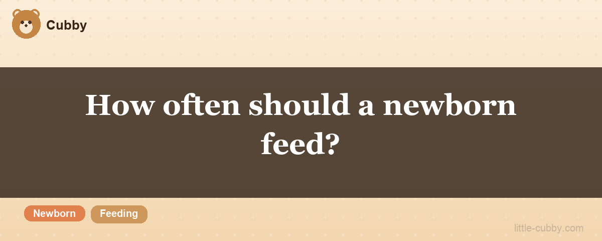 How often should a newborn feed?
