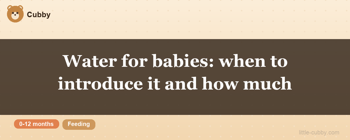 Water for babies: when to introduce it and how much